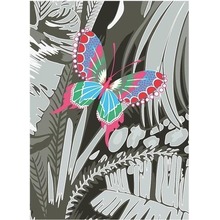 Karnet B6 z kopertą Butterfly