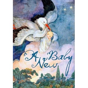 Karnet B6 z kopertą Narodziny Bocian