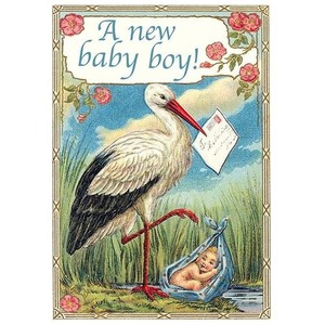 Karnet B6 z kopertą Narodziny Bocian Chłopiec