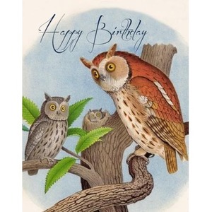 Karnet B6 z kopertą Urodziny Sowy