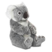 Koala 22 WWF