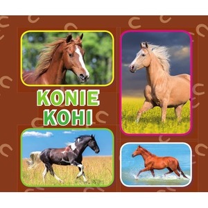 Konie