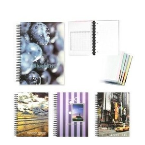 Kołobrulion A4/160K 65g kratka MIX