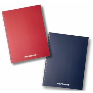 Kołonotatnik A4/80K kratka Swing Mono BG (3szt)