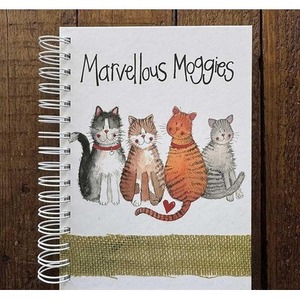 Kołonotatnik A5/100K 4 koty TW