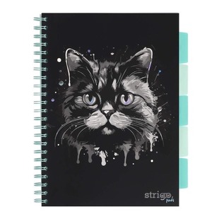 Kołozeszyt Pads A4/100K kratka Kot