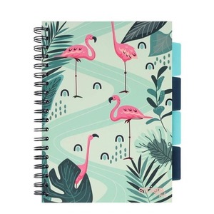 Kołozeszyt Pads B5/100K kratka Jungla zielony