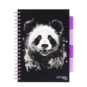 Kołozeszyt Pads B5/100K kratka Panda