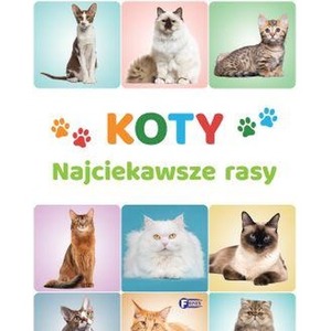 Koty. Najciekawsze rasy
