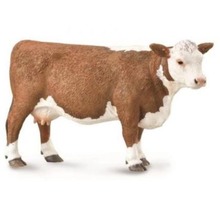 Krowa Herford
