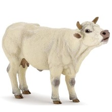 Krowa rasy Charolaise rycząca