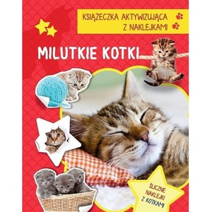 Książeczka aktywizująca naklejki. Milutkie kotki