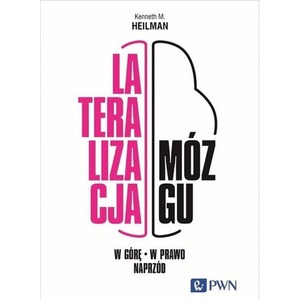 Lateralizacja mózgu. W górę, w prawo, naprzód