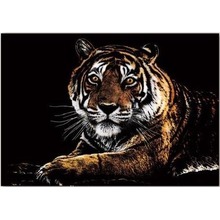 Magiczna Zdrapka - Tygrys 40,5x28,5cm