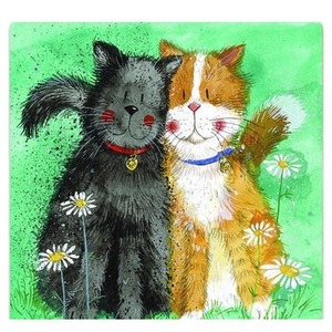 Magnes FM190 Koty Toffee i Treacle