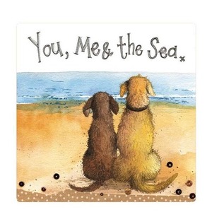 Magnes FM231 Ty, ja i morze