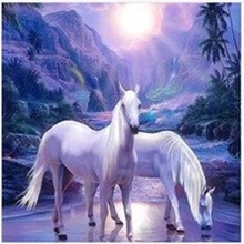 Malowanie po numerach białe Konie
