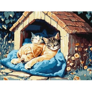 Malowanie po numerach - Cisza czasu 30x40cm