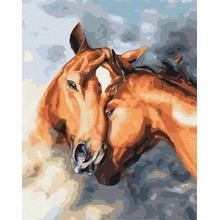 Malowanie po numerach Czułe konie 40x50cm