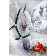 Malowanie po numerach Koń biały w zimowym lesie