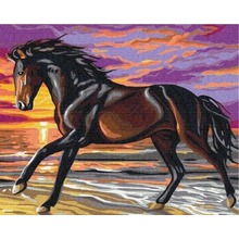 Malowanie po numerach Koń w biegu 40x50cm