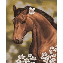 Malowanie po numerach - Koń z rumiankiem40 x 50