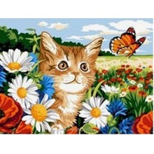 Malowanie po numerach kot na łące polujący na motylka