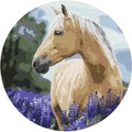 Malowanie po numerach owalne Koń w lawendzie