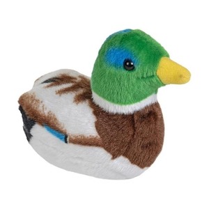 Maskotka Kaczka krzyżówka z dzwiękiem