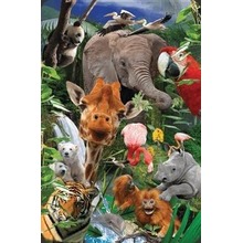 Mini kartka 3D Dzikie zwierzęta
