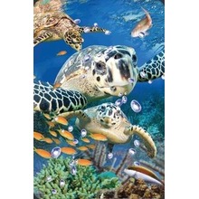 Mini kartka 3D Żółw Morski