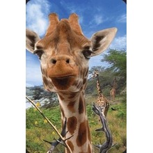 Mini kartka 3D Żyrafa