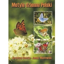Motyle dzienne Polski TW