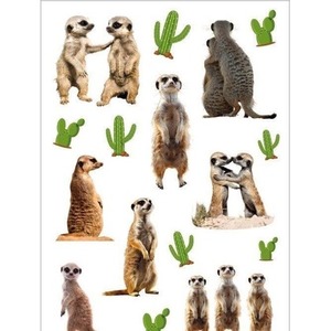 Naklejka Decor surykatki