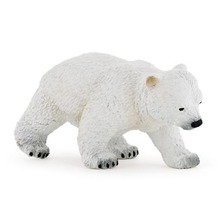 Niedźwiedź polarny młody