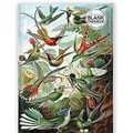 Notatnik A5 gładki TW Kolibry Ernst Haeckel