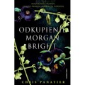 Odkupienie Morgan Bright
