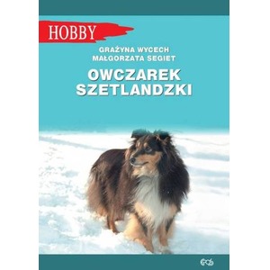 Owczarek szetlandzki