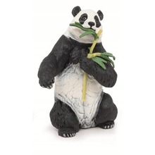 Panda z bambusem