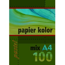 Papier kolorowy A4 100 kartek 80g pastel mix kolorów