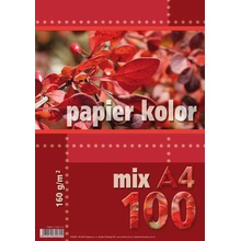 Papier kolorowy A4 100k 160g mix kolorów