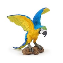Papuga Ara niebieska
