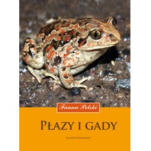 Płazy i gady. Fauna Polski
