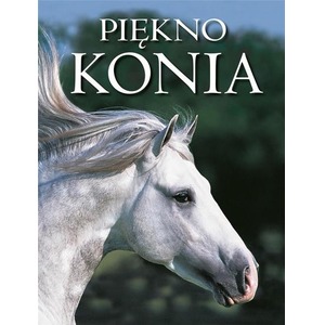 Piękno konia