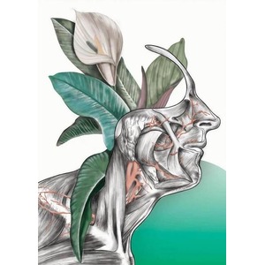 Plakat Floral head