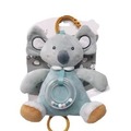 Pozytywka koala szara