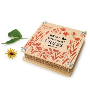 Prasa botaniczna drewniana