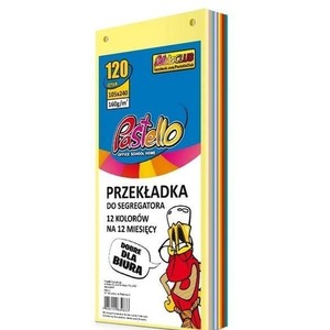 Przekładka do segregatora 1/3 A4 120K 12 kolorów