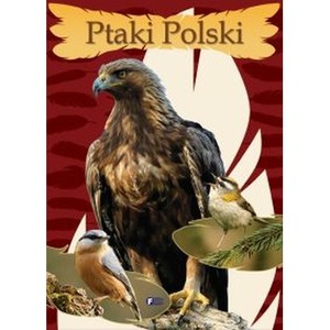 Ptaki Polski