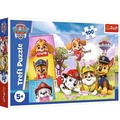 Puzzle 100 Nieustraszone dziewczyny Viacom Paw Patrol 16520
